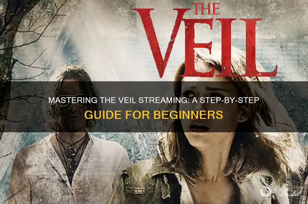 how to stream the veil