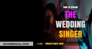 Stream 'The Wedding Singer' Easily: A Step-by-Step Guide