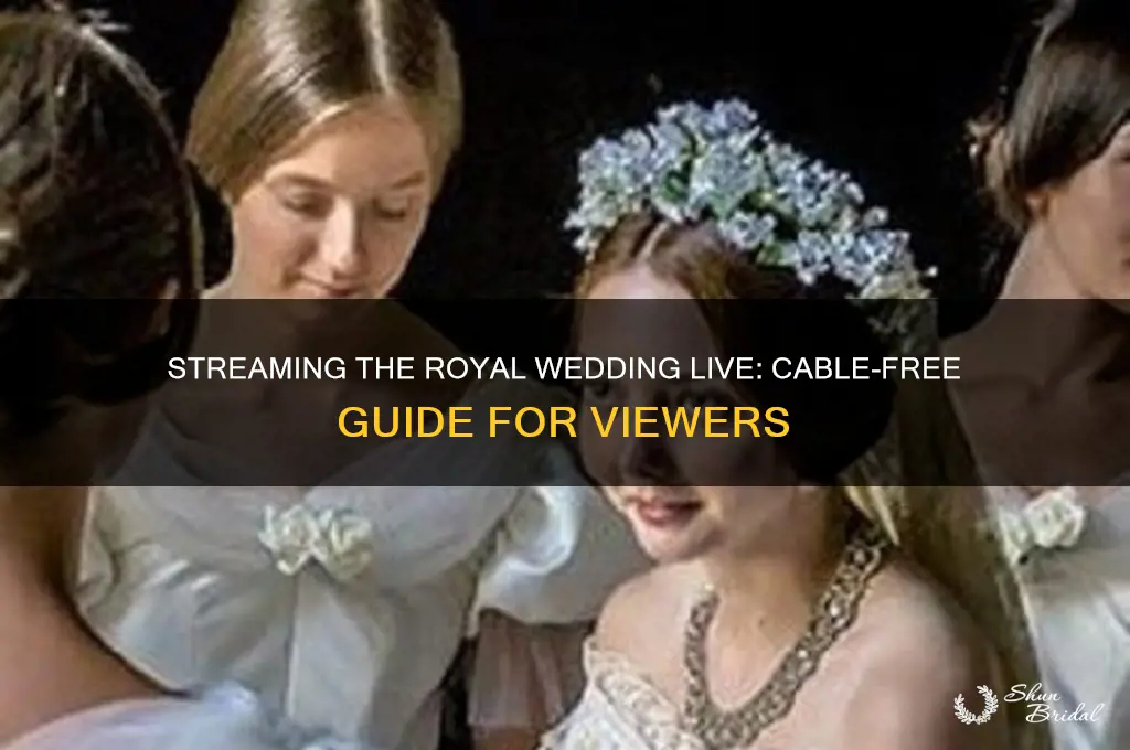 how to stream the wroyal wedding live without cable
