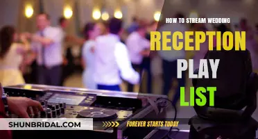 Stream Your Wedding Reception with a Perfect Playlist