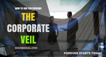 Piercing the Corporate Veil: Legal Steps to Sue Successfully