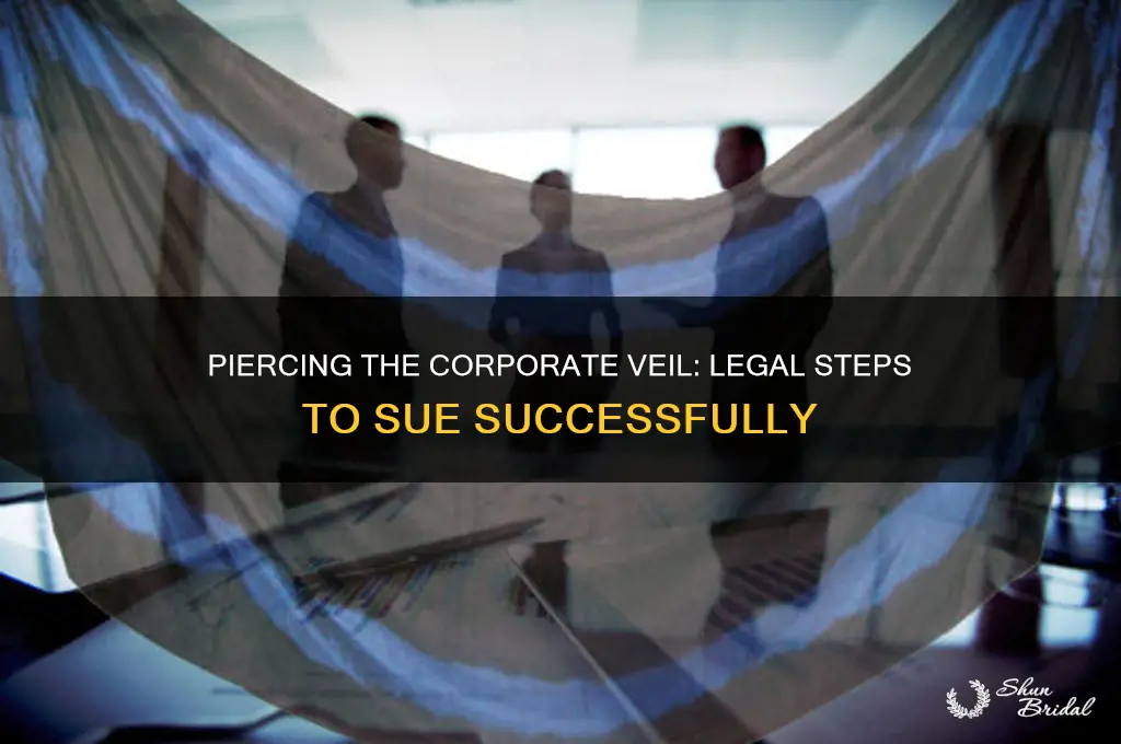 how to sue for piercing the corporate veil