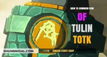 Mastering the Vow of Tulin Summon in TotK: A Step-by-Step Guide