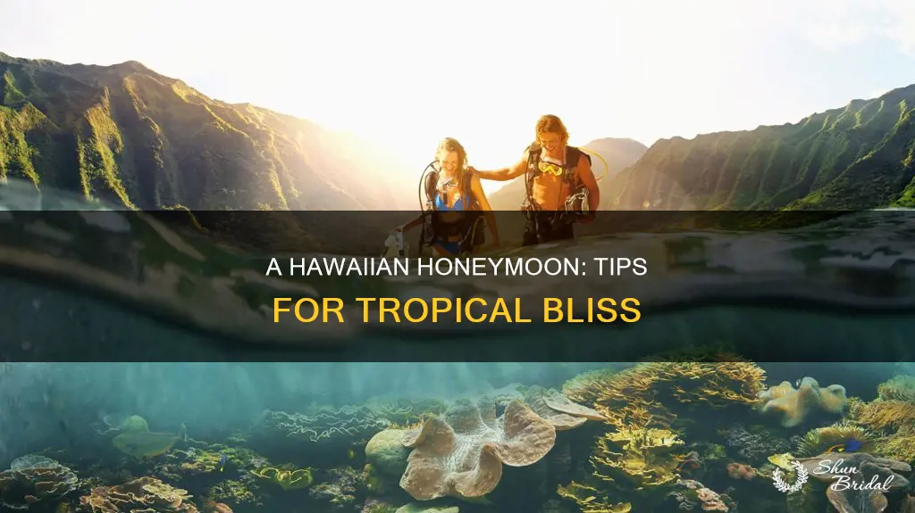 how to survive a hawaiian honeymoon