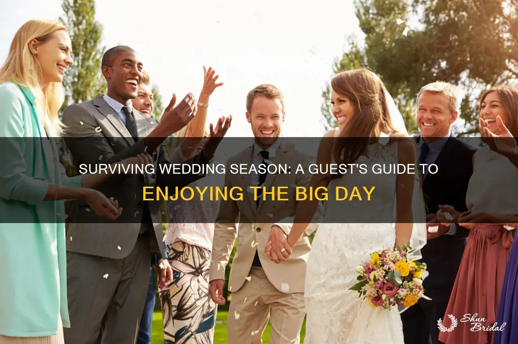 how to survive a wedding as a guest