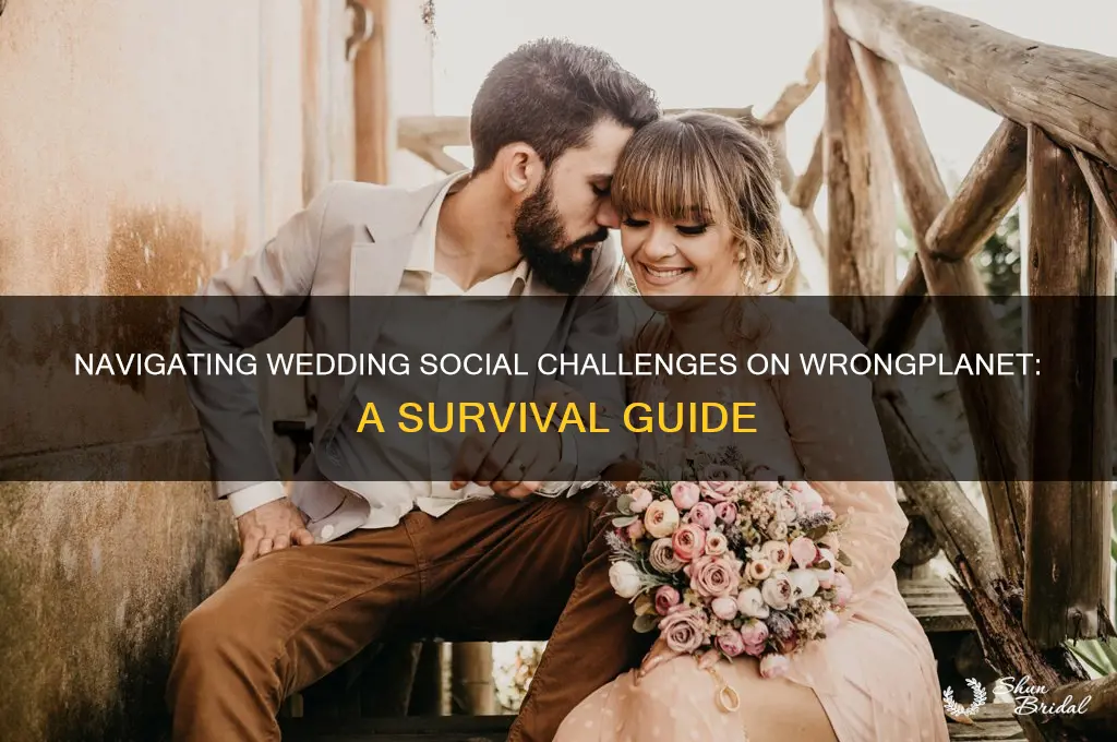 how to survive going to wedding wrongplanet