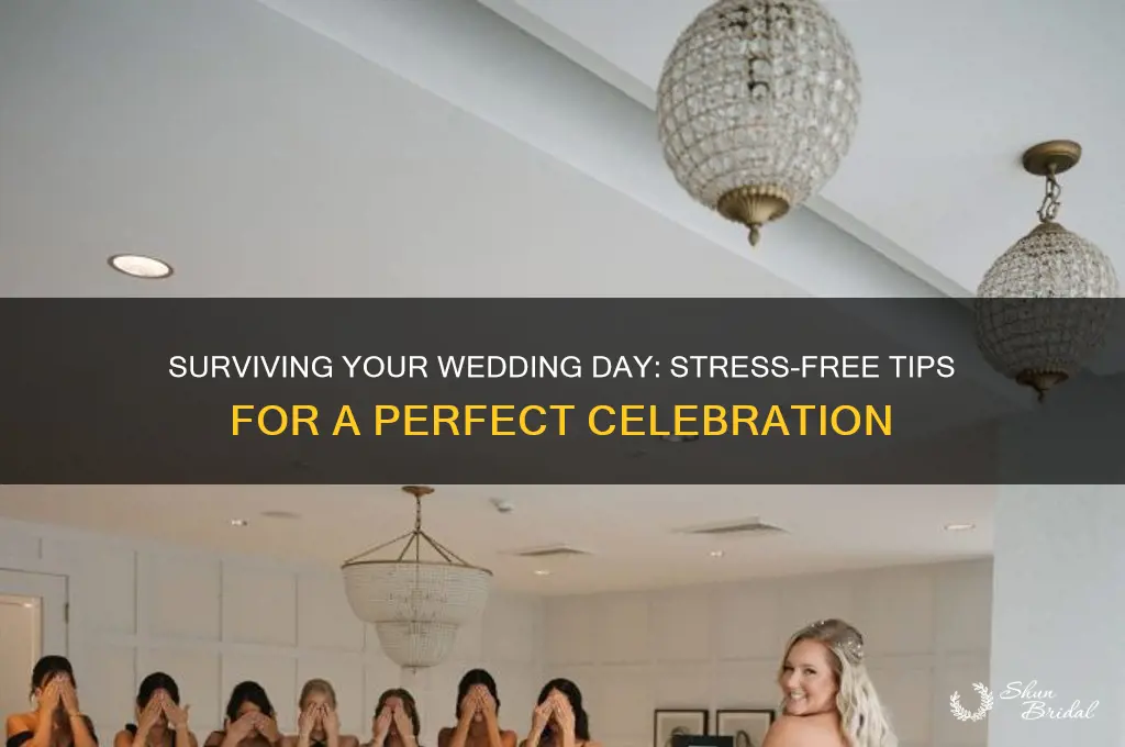 how to survive your wedding day