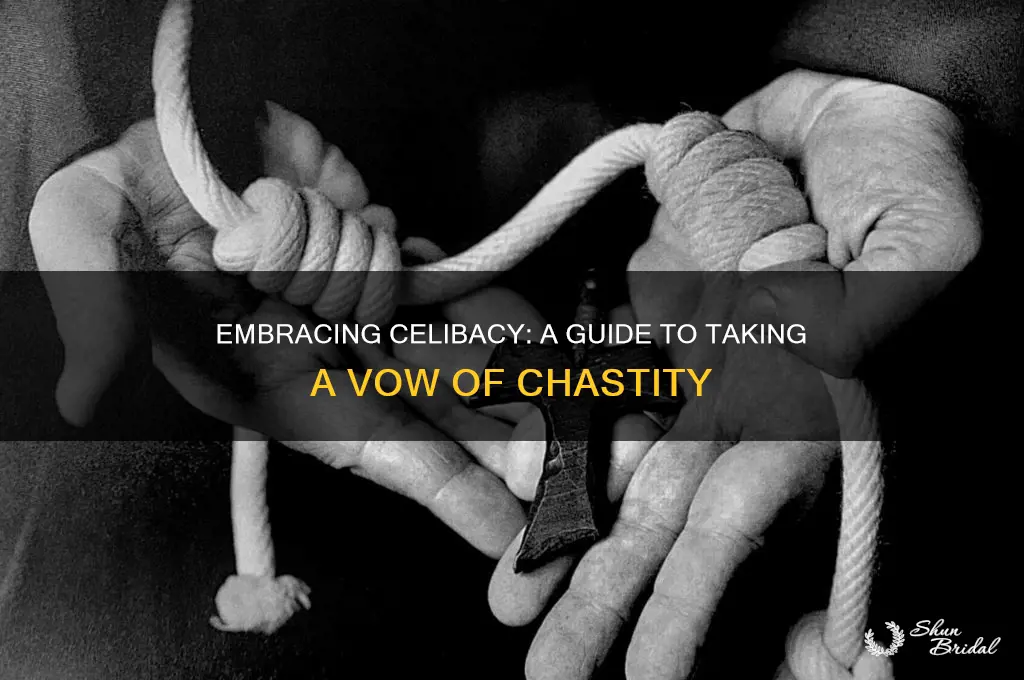 how to take a vow of chastity