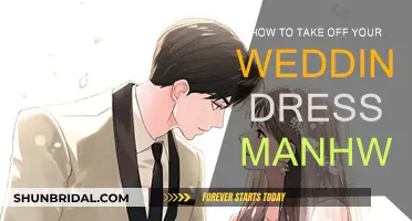 Unveiling Secrets in "How to Take Off Your Wedding Dress