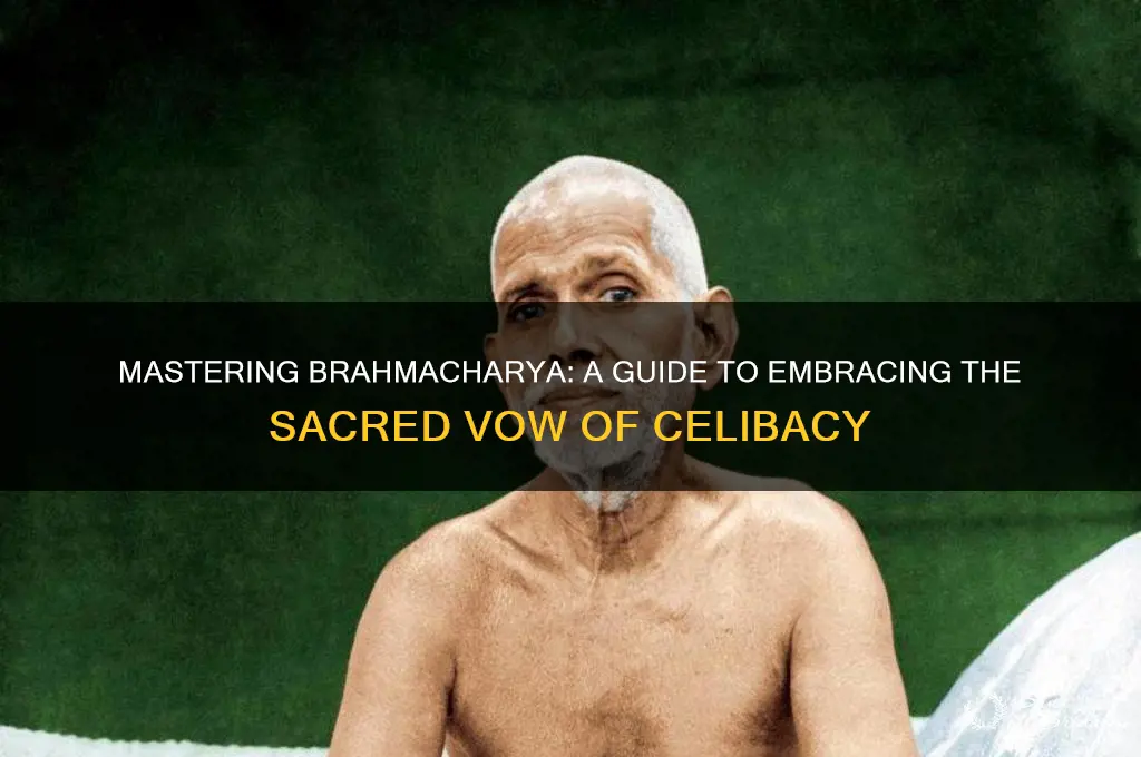 how to take vow of brahmacharya