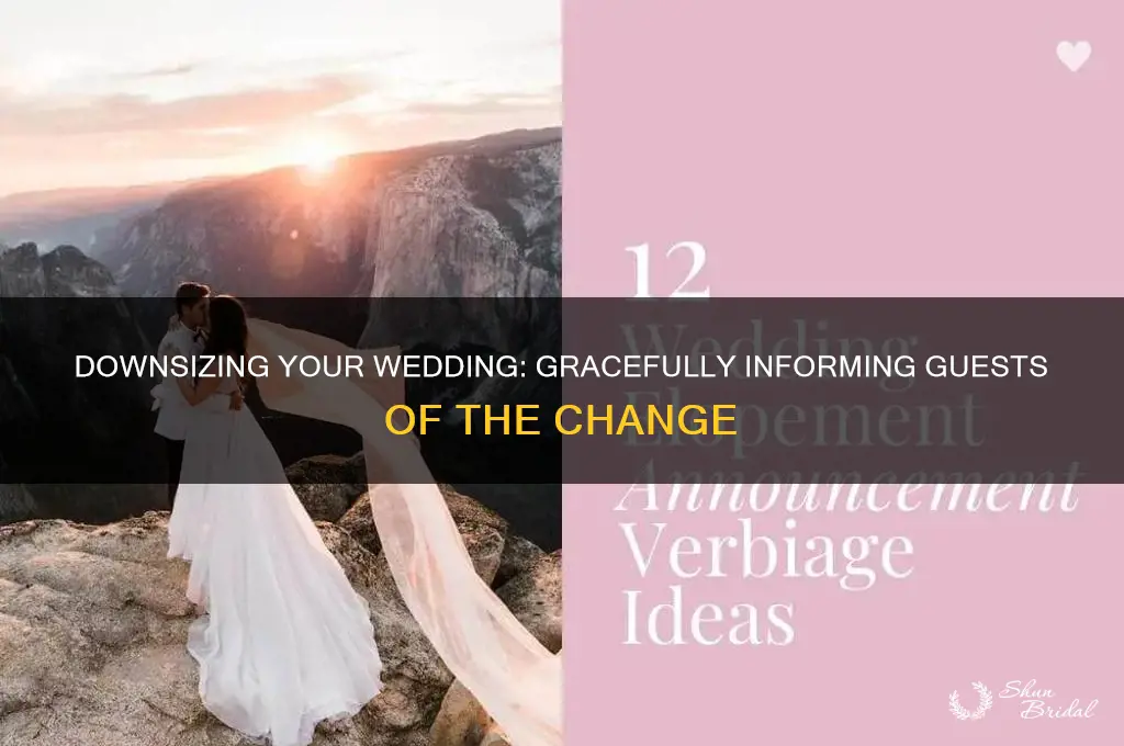 how to tell guests wedding is downsized