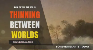 Signs the Veil Between Worlds is Thinning: A Spiritual Guide