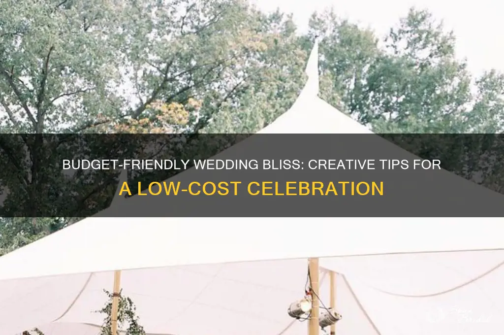 how to throw a low cost wedding