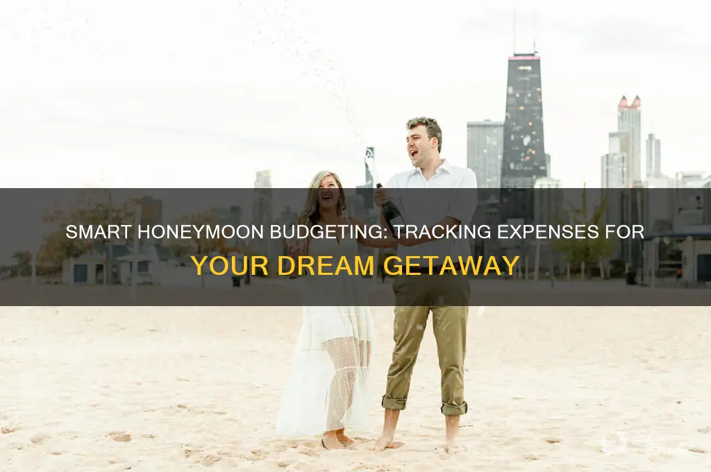 how to track honeymoon expenses in wedding budget