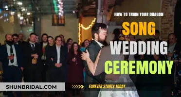How to Train Your Dragon Song: A Magical Wedding Ceremony Idea