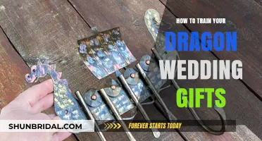 How to Train Your Dragon-Themed Wedding Gifts: Creative Ideas for Fans