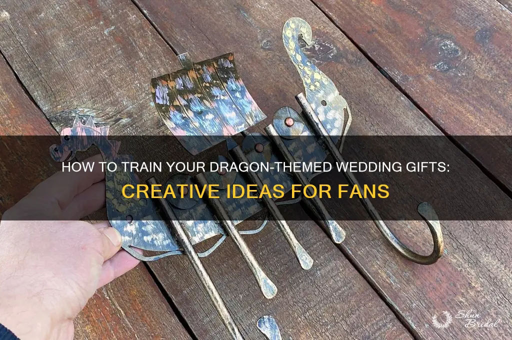 how to train your dragon wedding gifts