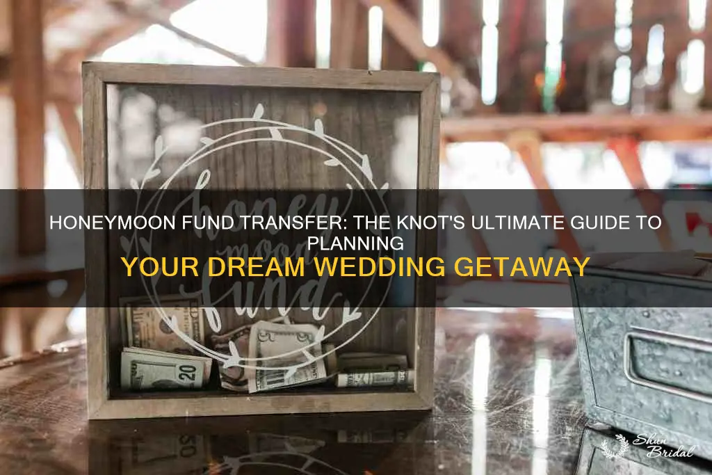 how to transfer honeymoon fund on the knot