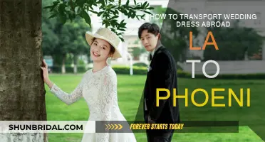 Transporting Your Wedding Dress: LA to Phoenix