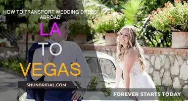 Traveling with a Wedding Dress: LA to Vegas