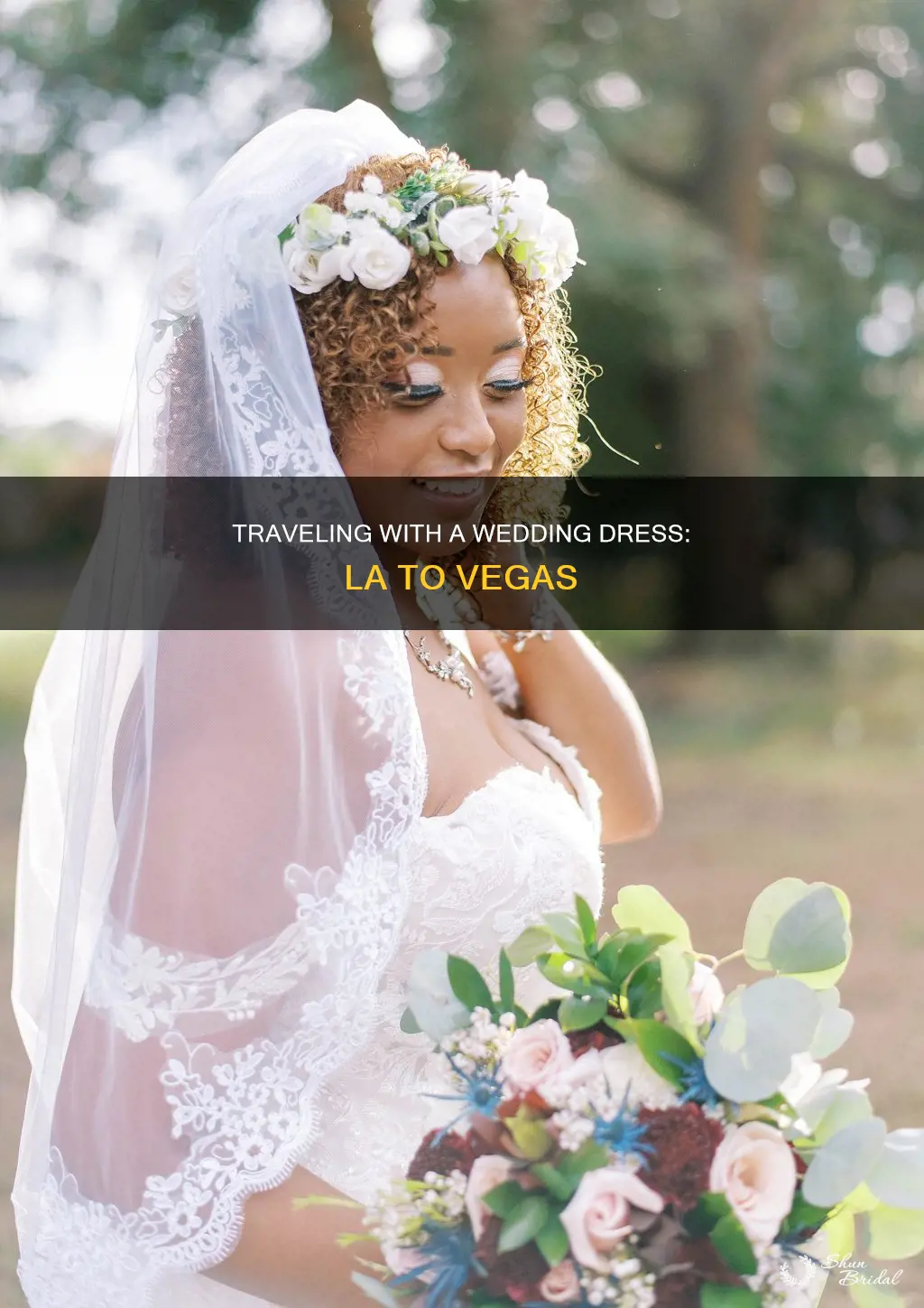 how to transport wedding dress abroad la to vegas