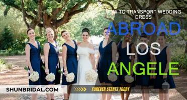 Traveling with a Wedding Dress: LA to Abroad