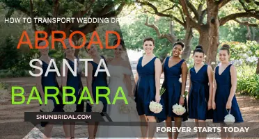 Transporting Your Wedding Dress: Santa Barbara's Guide