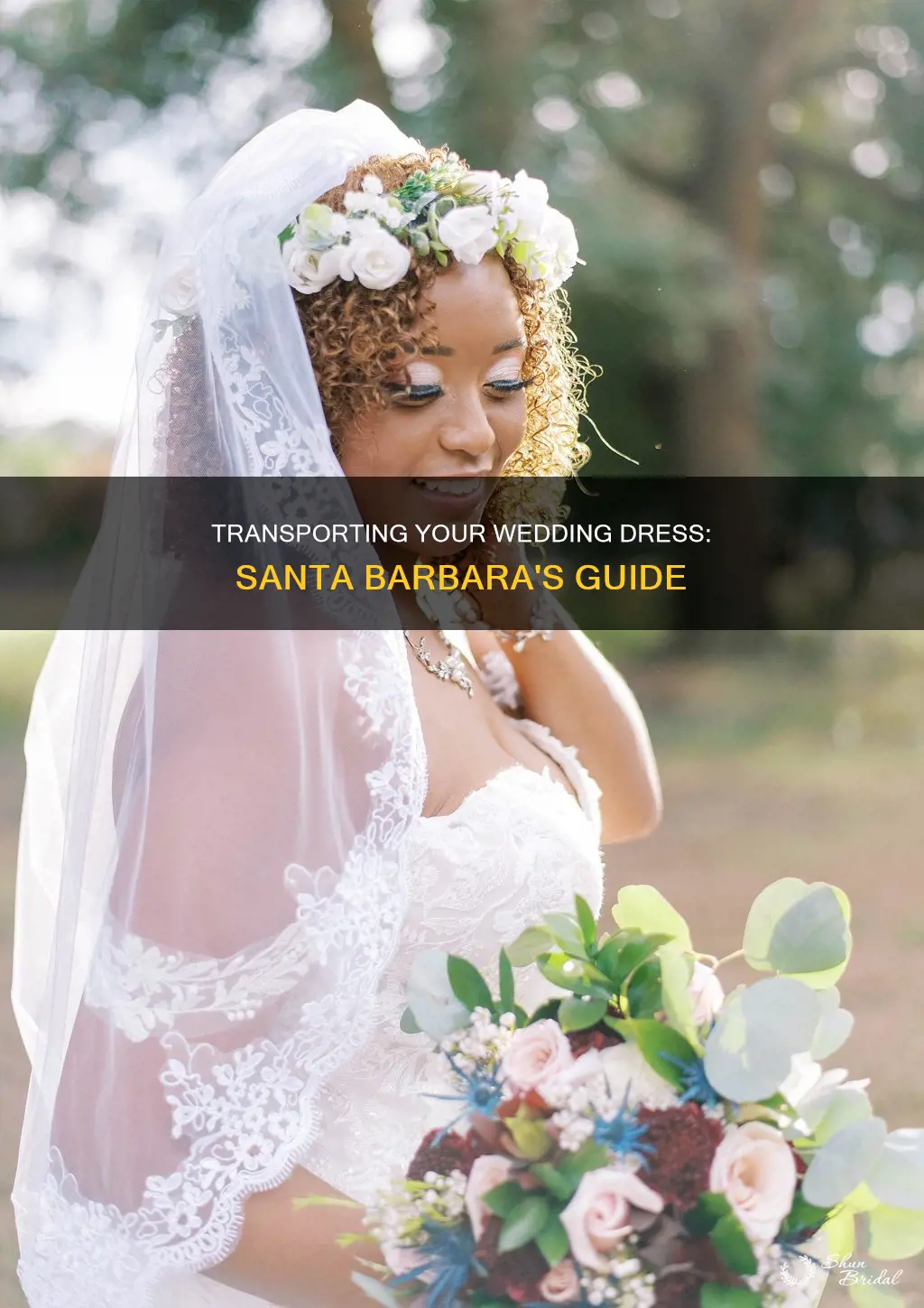 how to transport wedding dress abroad santa barbara