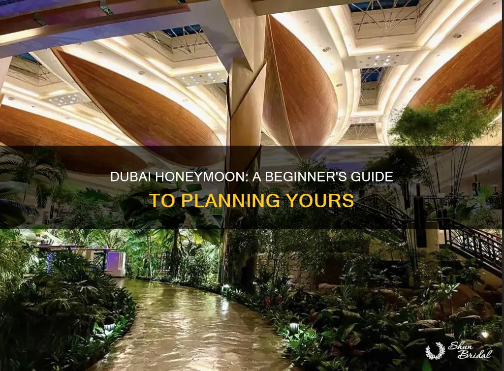 how to travel dubai honeymoon