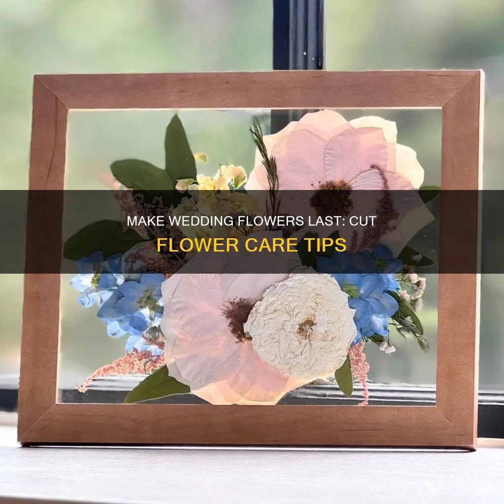 how to treat cut flowers to last for a wedding