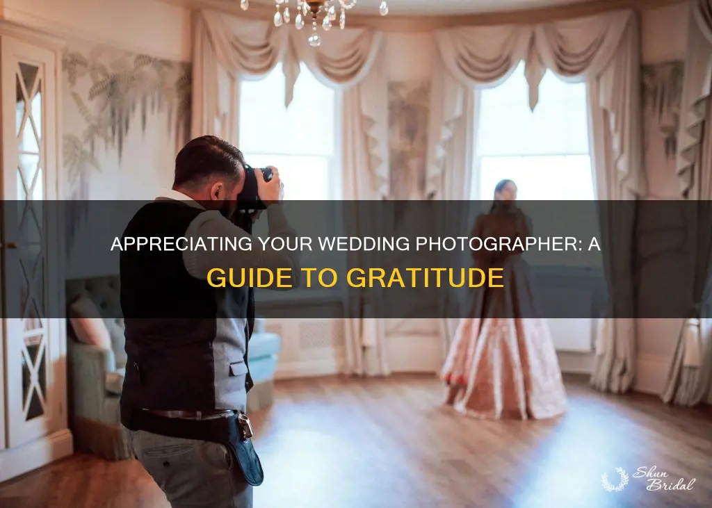 how to treat your wedding photographer
