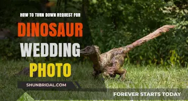 Saying No to Dinosaur Wedding Photos: A Guide