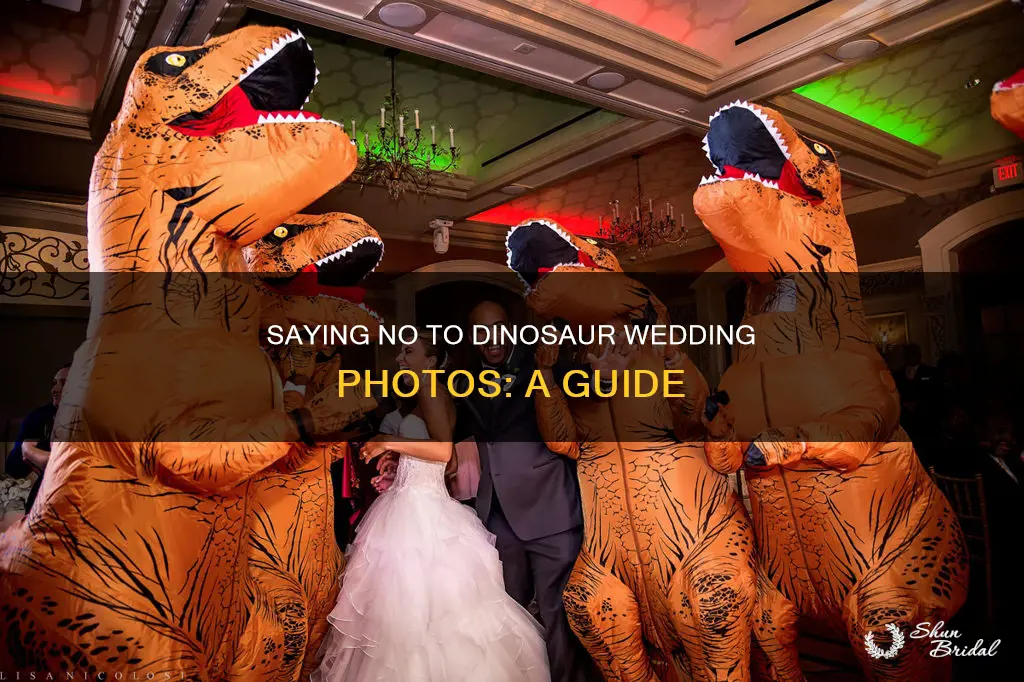 how to turn down request for dinosaur wedding photo