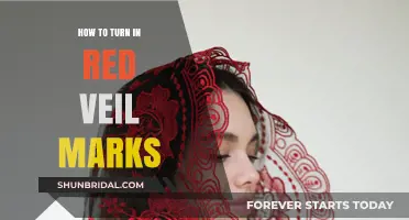 Mastering Red Veil Marks: A Step-by-Step Guide to Perfect Submission