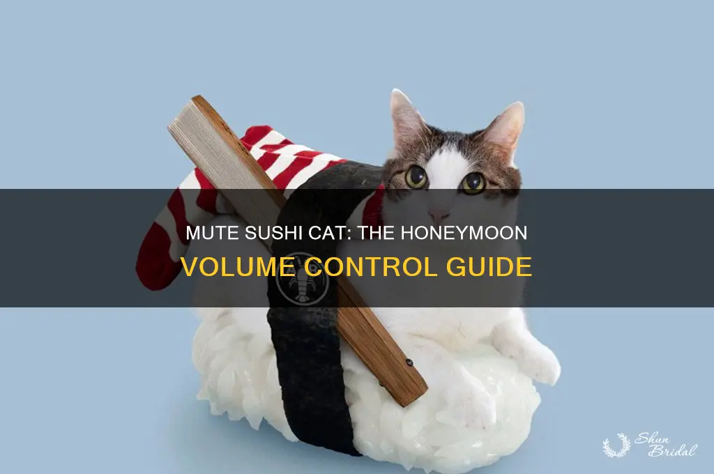how to turn off volume on sushi cat the honeymoon