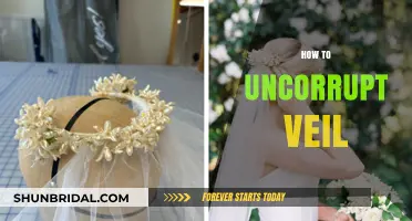 Uncorrupting the Veil: A Step-by-Step Guide to Restoring Integrity