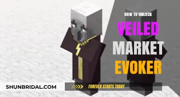 Unlocking the Veiled Market Evoker: A Comprehensive Guide for Beginners