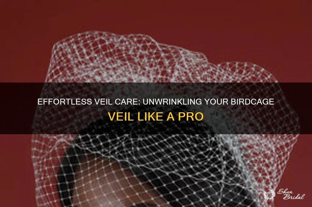 how to unwrinkle birdcage veil