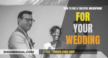 Choosing the Perfect Microphone for Your Wedding Day