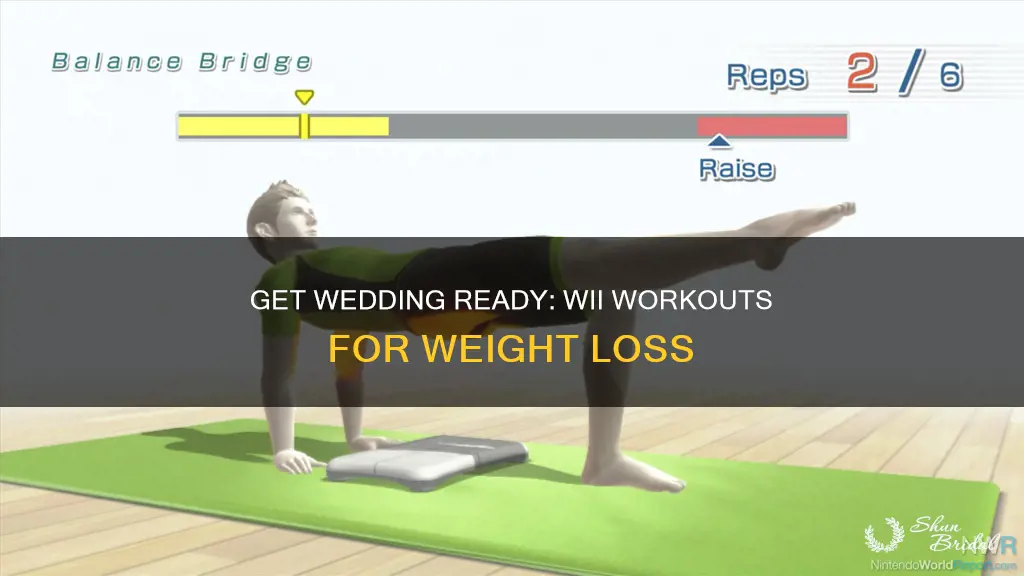 how to use a wii to lose weight for wedding