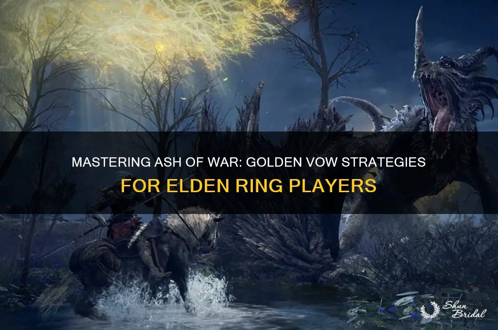 how to use ash of war golden vow