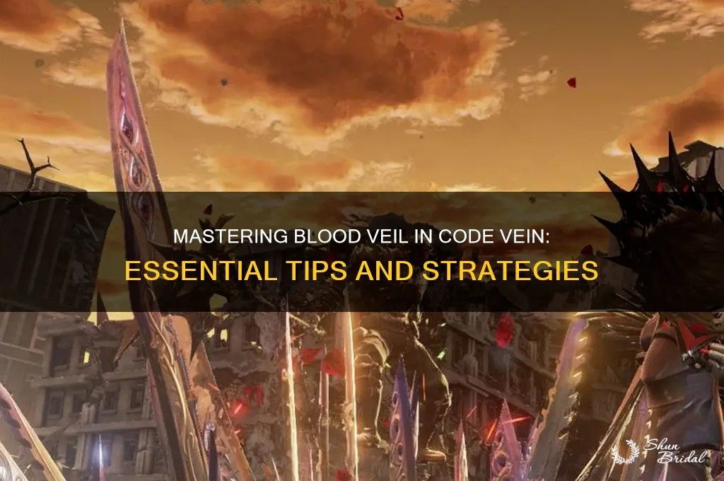 how to use blood veil code vein