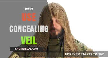 Mastering the Art of Flawless Skin: A Guide to Using Concealing Veil