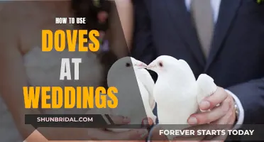 Incorporate Doves at Your Wedding: A Guide