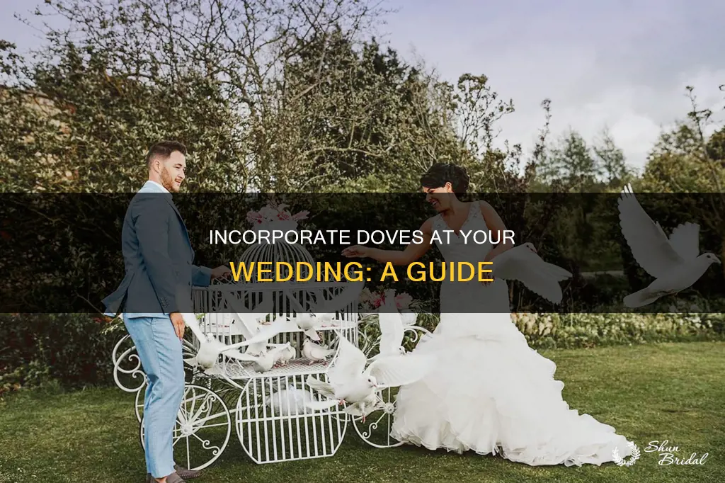 how to use doves at weddings