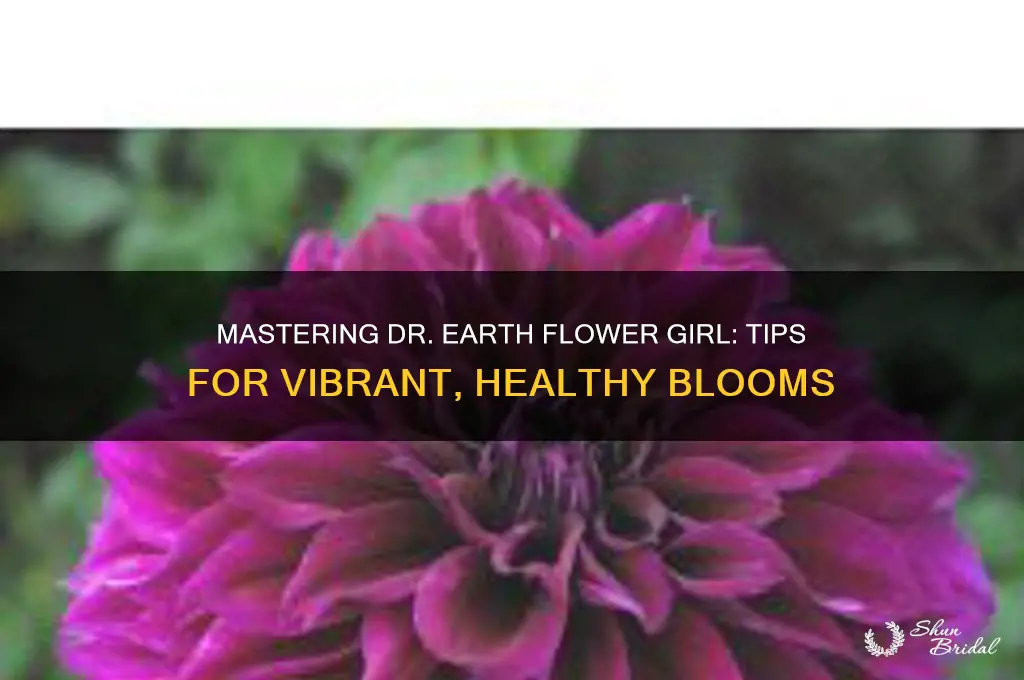 how to use dr earth flower girl
