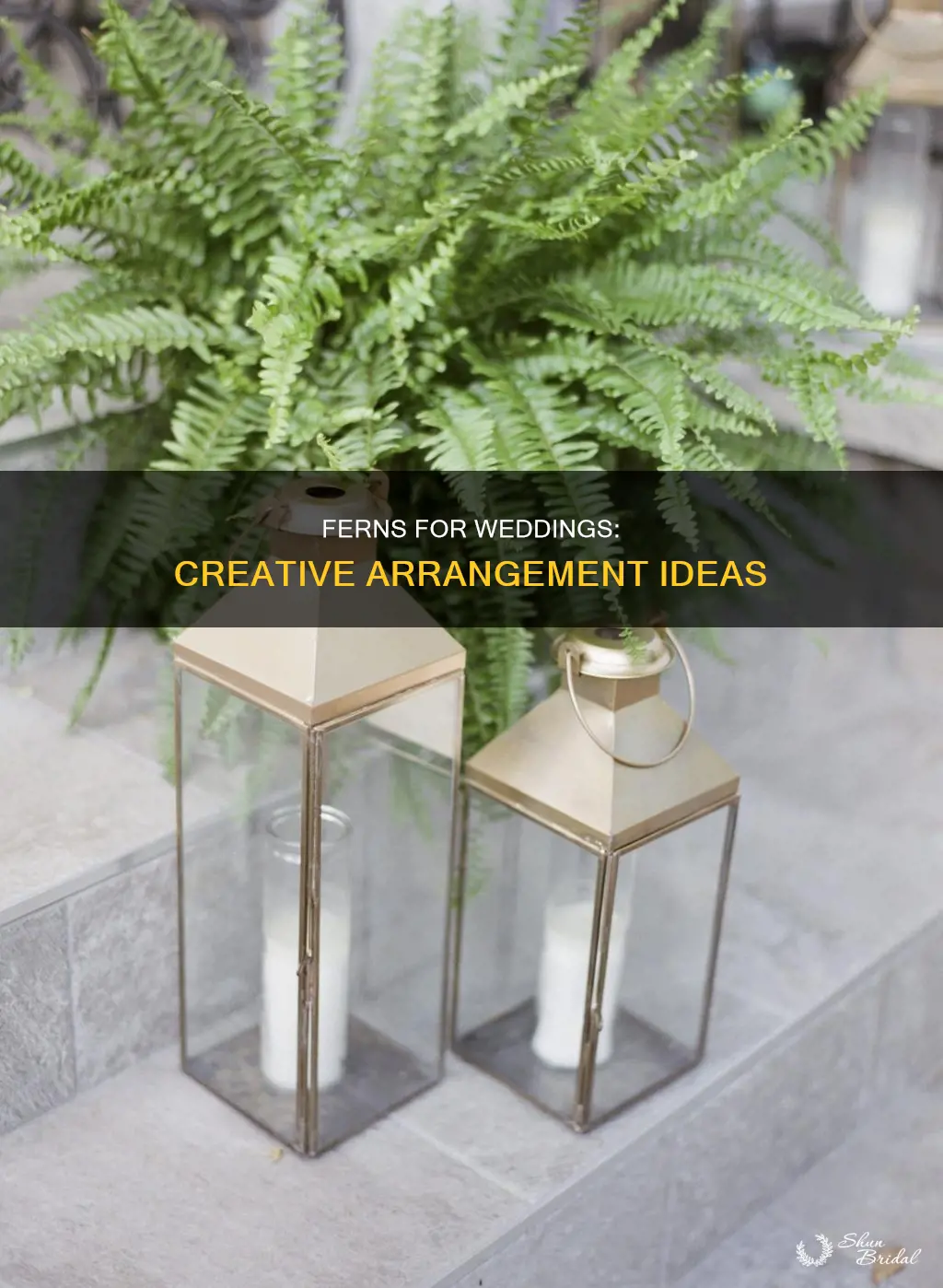 how to use ferns in wedding arrangements