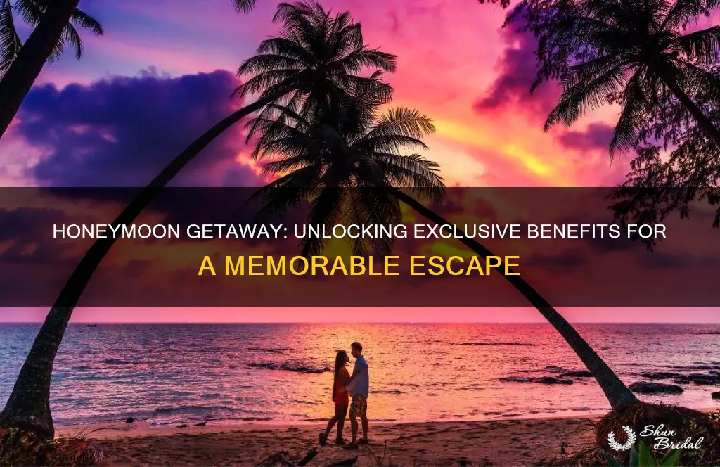 how to use honeymoon exclusive