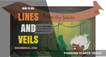 Mastering Lines and Veils: A Guide to Ethical Kink Communication
