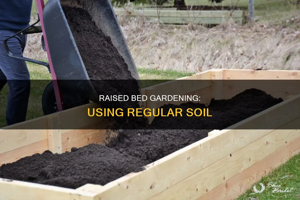 how to use normal soil for raised bed wed out